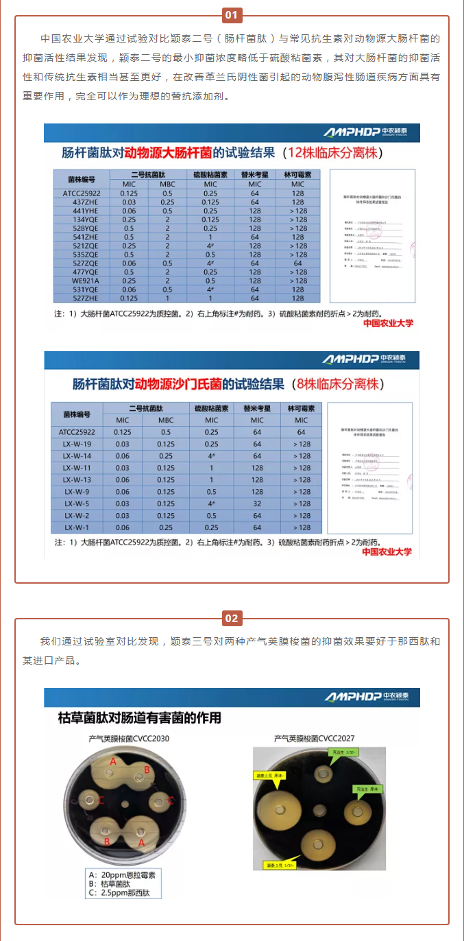中農穎泰-助力河南省飼料工業協會2021年度峰會_03