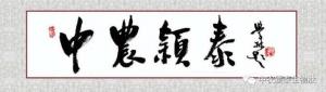 喜訊快遞 | 中農(nóng)穎泰成功入選河南省優(yōu)質企業(yè)備投項目庫
